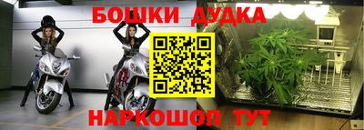 кокс Берёзовский