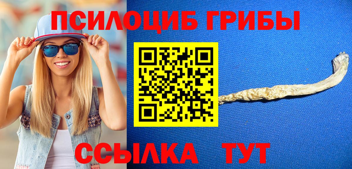 Псилоцибиновые грибы GOLDEN TEACHER Изобильный